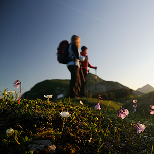 Wandern im Tannheimer Tal